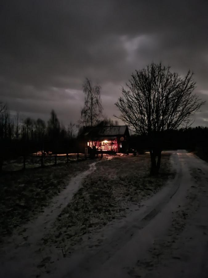 Musketeers Cabin Porumbacu de Sus Esterno foto
