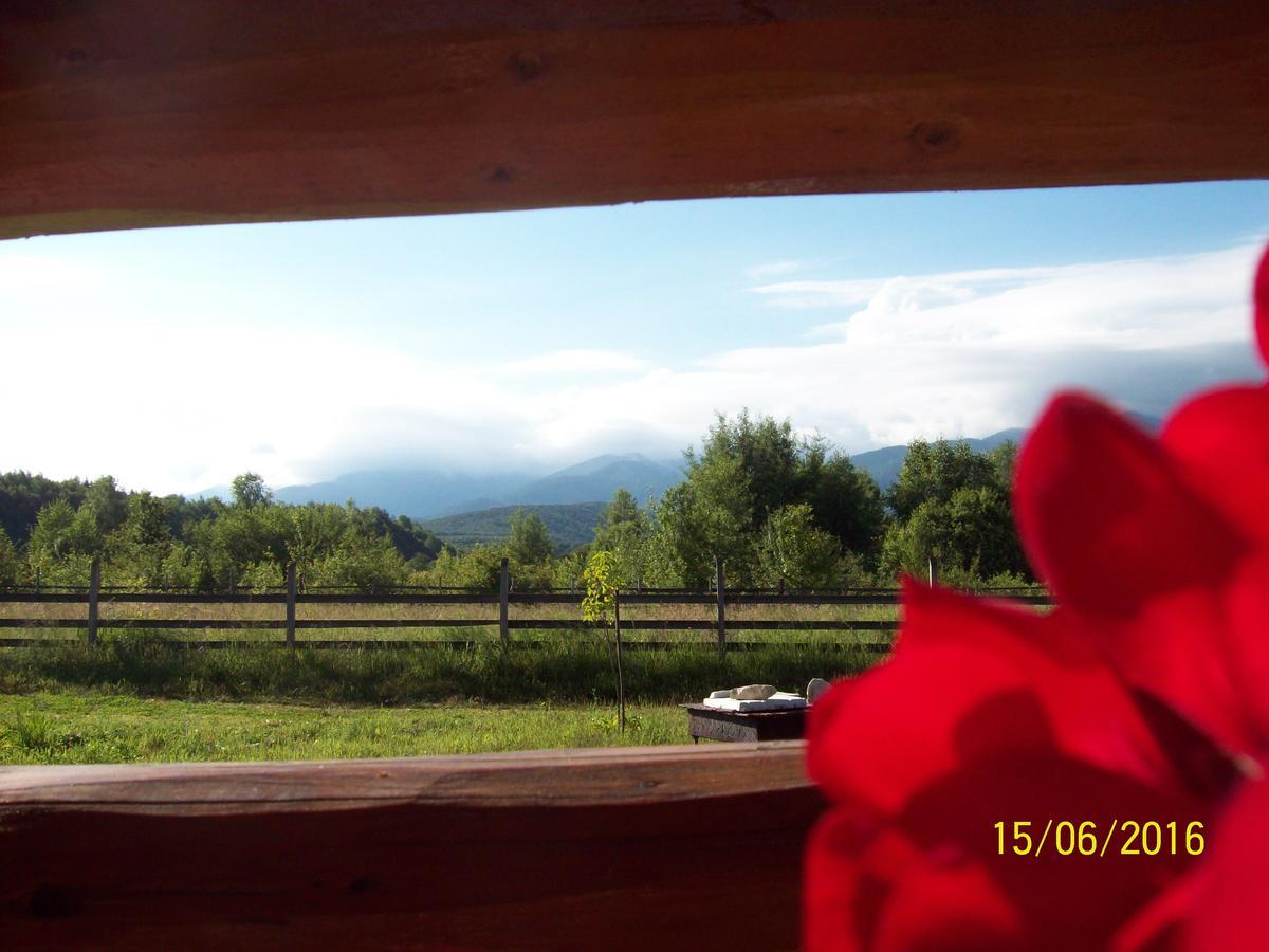 Musketeers Cabin Porumbacu de Sus Esterno foto